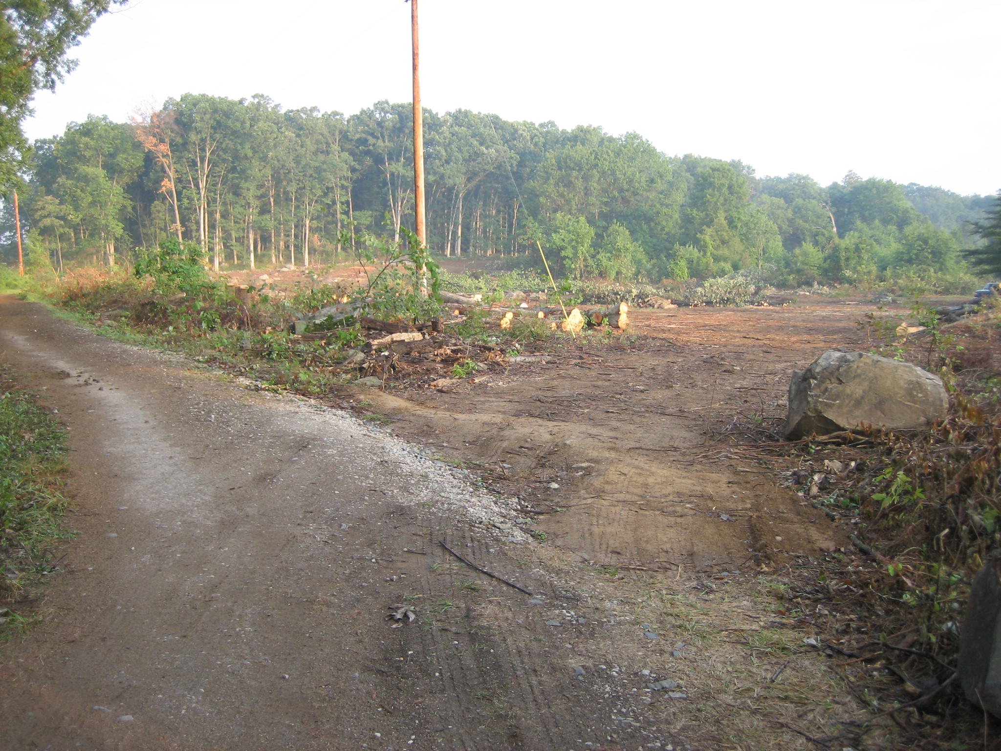 Tree Cut